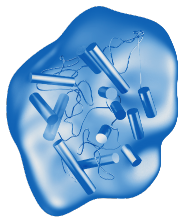 Glucocerebrosidase